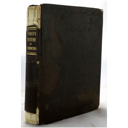 Picture of the City of Washington